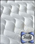 Sealy Mirrorform Visco Memory Foam
