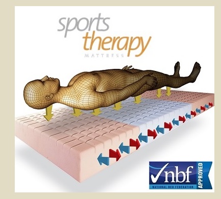 Sports Therapy image