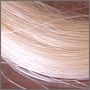 horsehair