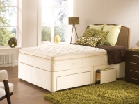 Sealy Alvasta Divan