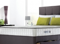 Sealy Jubilee Ortho Mattress