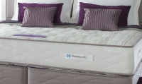 Sealy Pearl Ortho Mattress