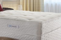 Sealy Ruby Ortho Mattress